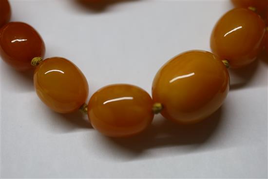 A single strand graduated oval amber bead necklace, 97cm.